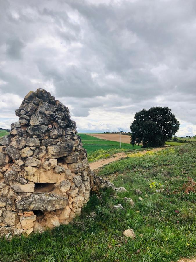 Apartamentos Ribera Del Duero Las Escuelas Vadocondes Buitenkant foto